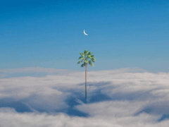 适合写明信片的小句子合集 生生灯火明暗无辄