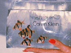 朋友圈内涵语录带图片 不要向对方抱怨同一件事