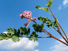 四月唯美简短心情说说 2020四月你好说说句子