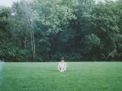 激励我们在人生之路上继续走下去的励志句子 很正能量阳光的句子