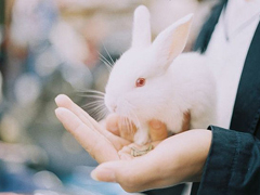 关于爱情简单又有道理的句子配图 爱情是一个人的天荒地老